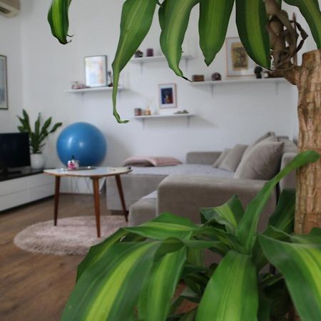Cosy Apartment - 10 Minutes Walk To Sea Zadar Buitenkant foto