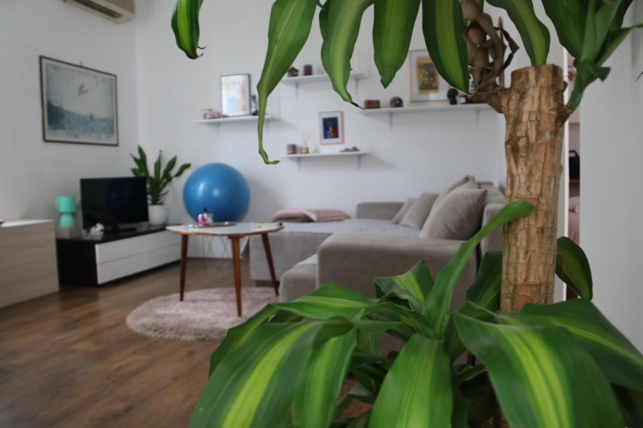 Cosy Apartment - 10 Minutes Walk To Sea Zadar Buitenkant foto